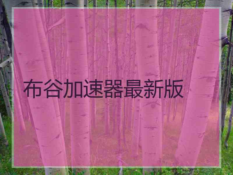 布谷加速器最新版