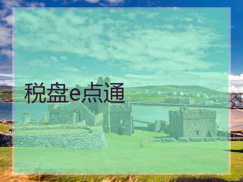 税盘e点通