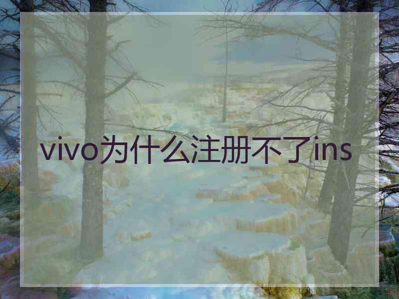 vivo为什么注册不了ins