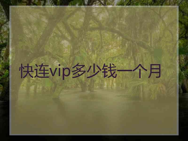快连vip多少钱一个月
