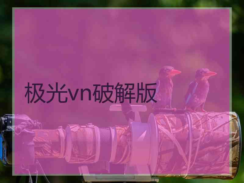 极光vn破解版