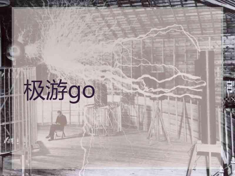 极游go