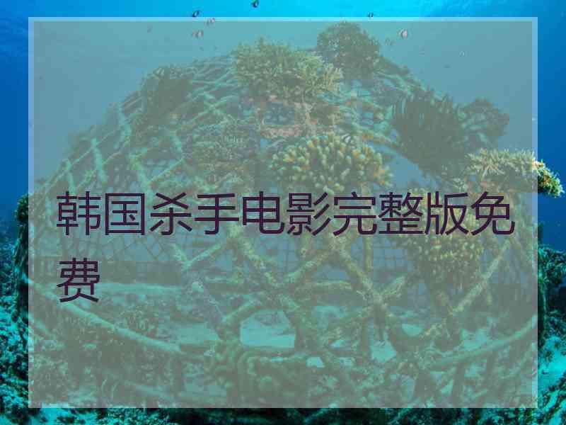 韩国杀手电影完整版免费