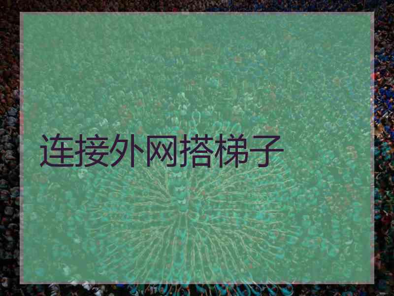 连接外网搭梯子