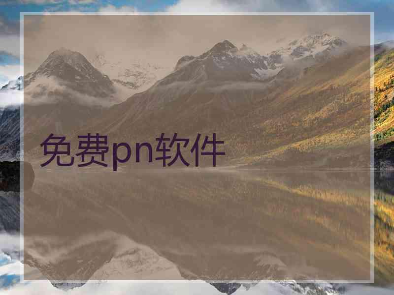 免费pn软件