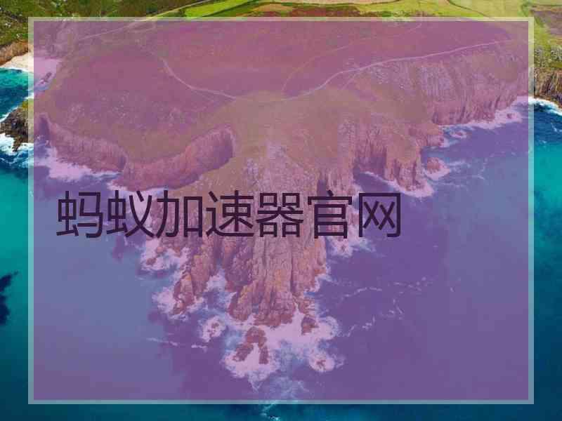 蚂蚁加速器官网