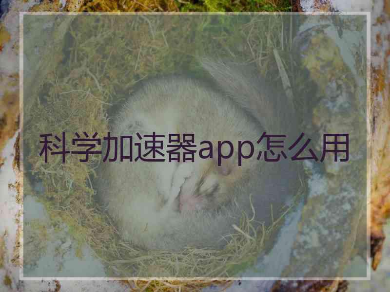 科学加速器app怎么用