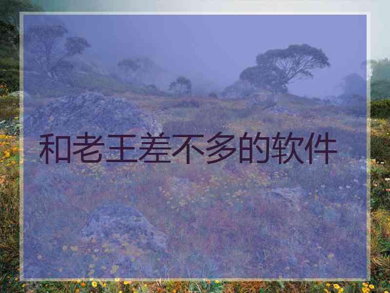 和老王差不多的软件