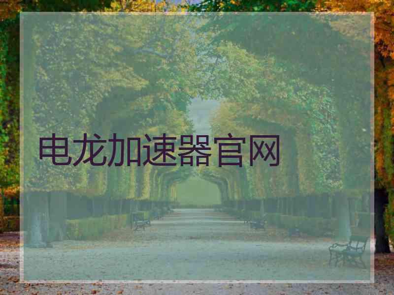 电龙加速器官网