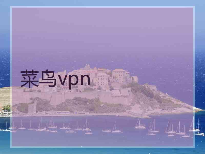 菜鸟vpn