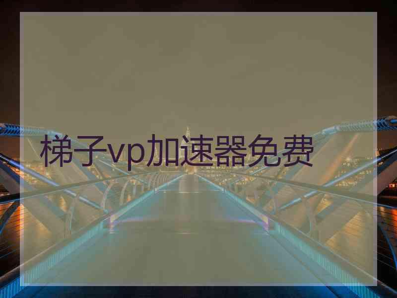 梯子vp加速器免费