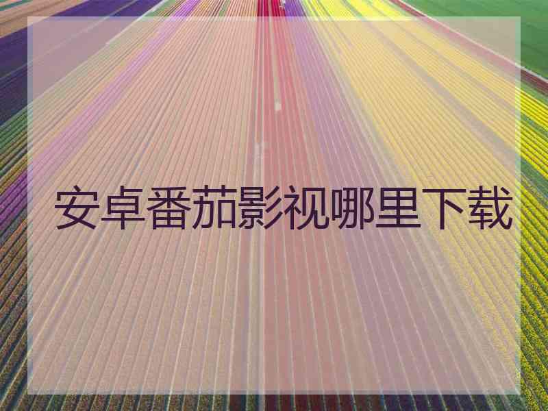 安卓番茄影视哪里下载