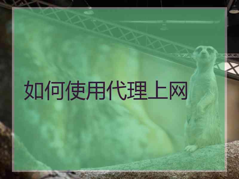 如何使用代理上网