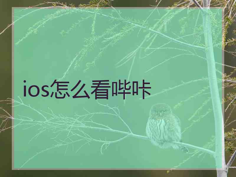 ios怎么看哔咔