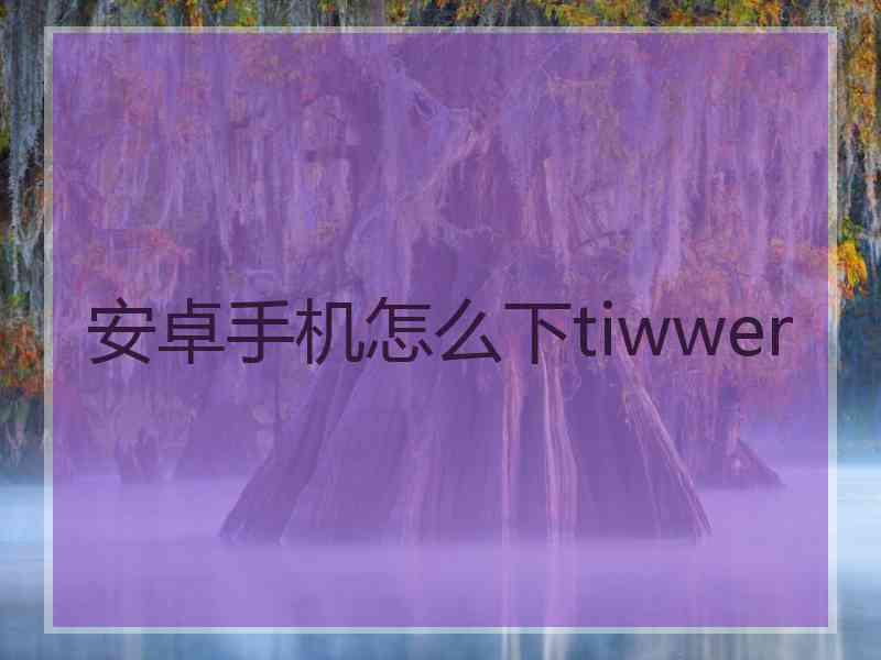 安卓手机怎么下tiwwer