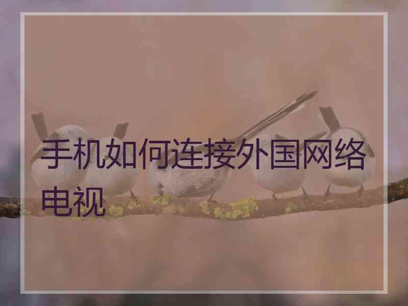 手机如何连接外国网络电视