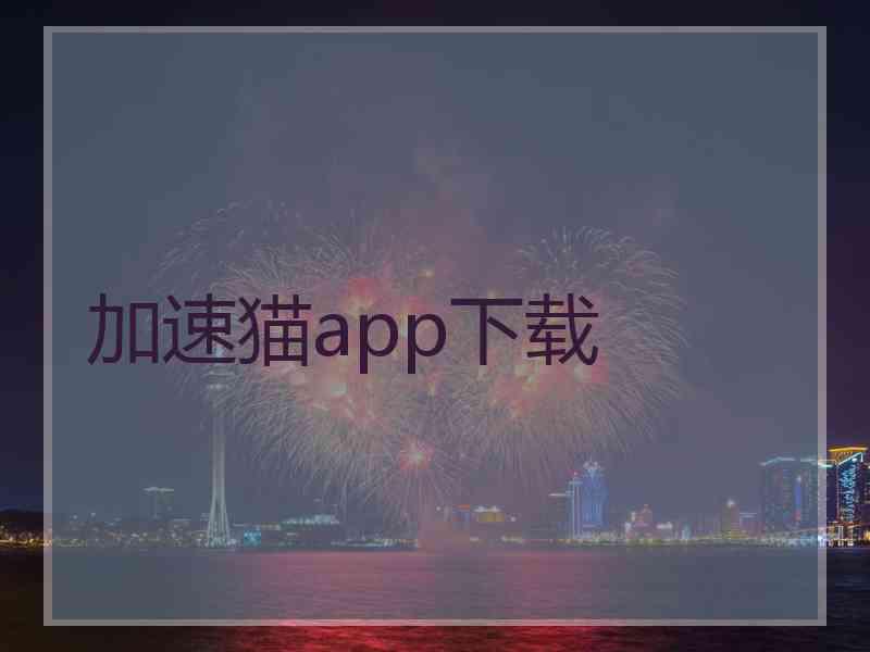 加速猫app下载