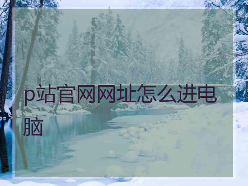 p站官网网址怎么进电脑