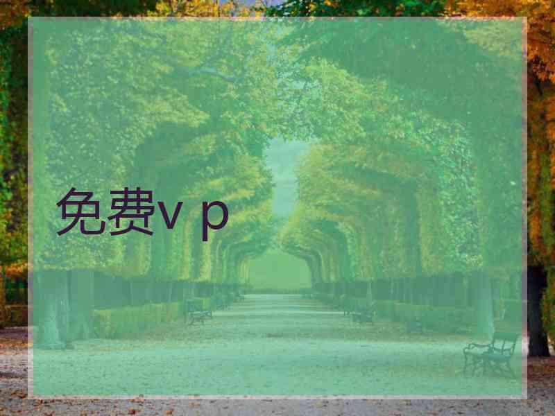 免费v p