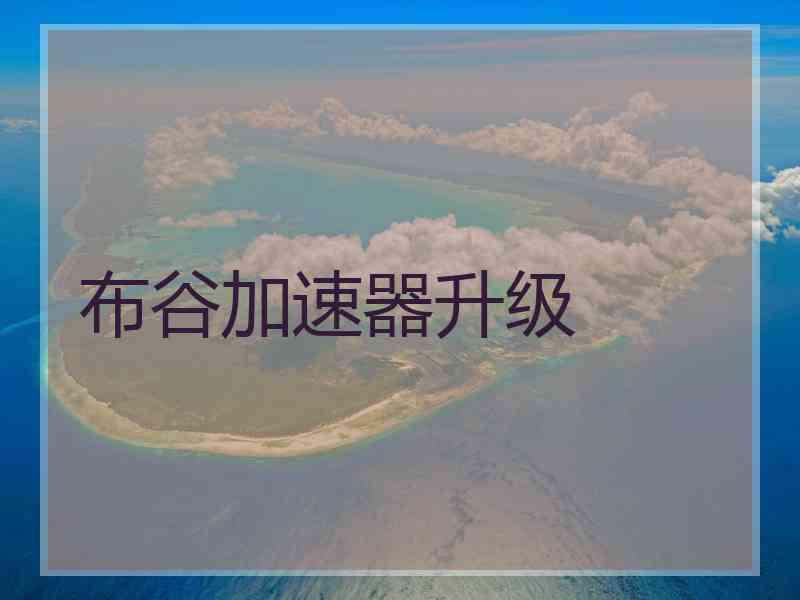 布谷加速器升级