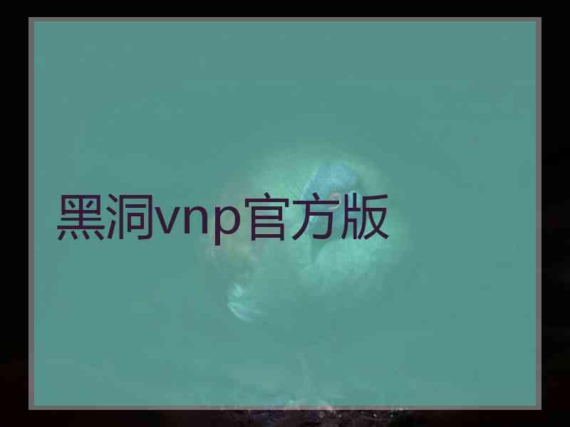 黑洞vnp官方版