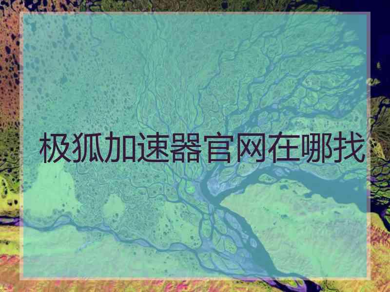 极狐加速器官网在哪找