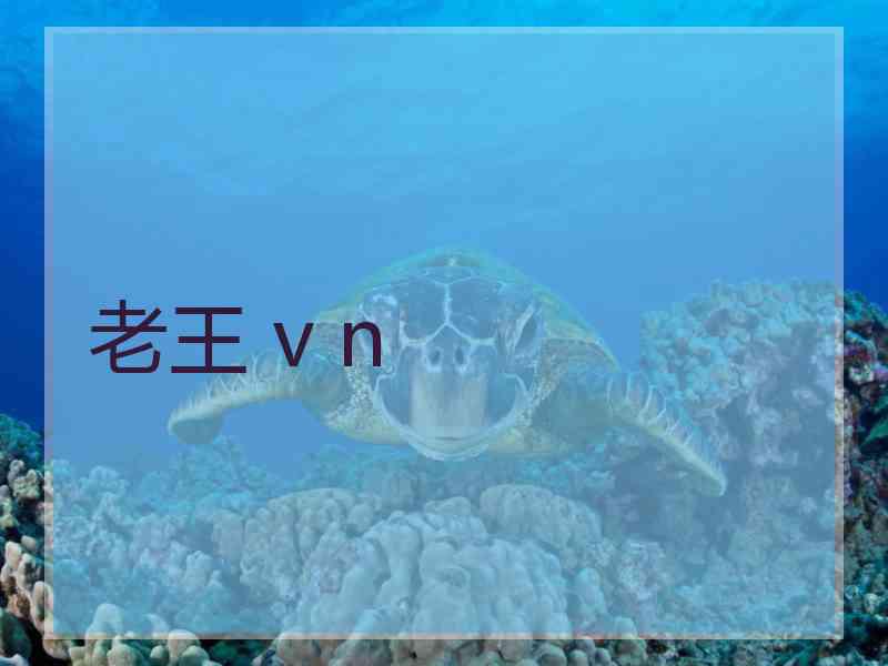 老王 v n