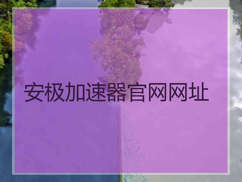 安极加速器官网网址