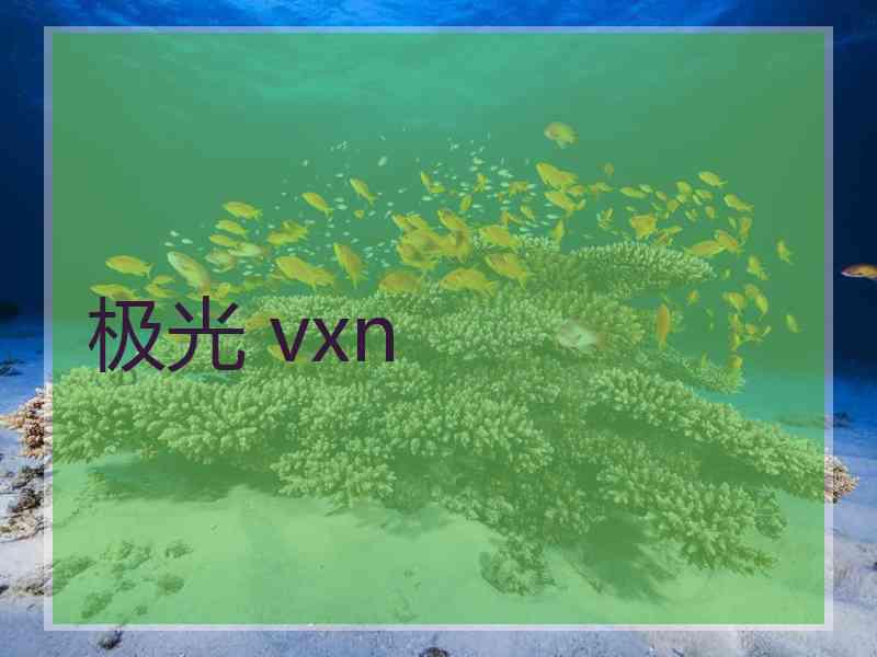 极光 vxn
