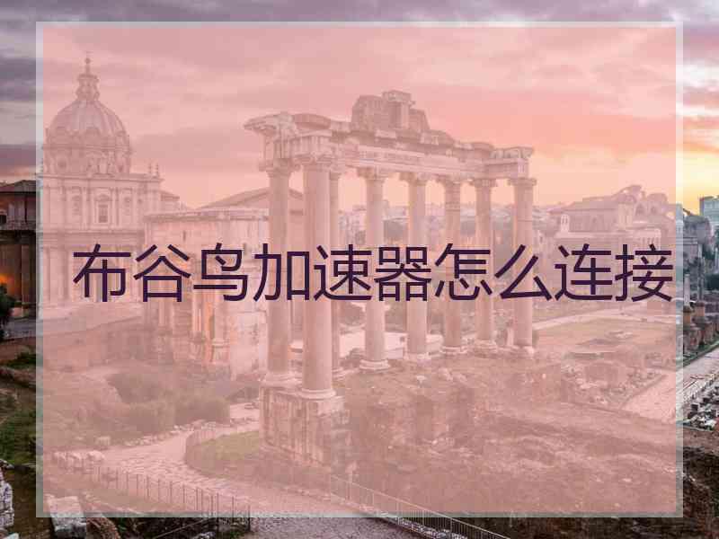 布谷鸟加速器怎么连接