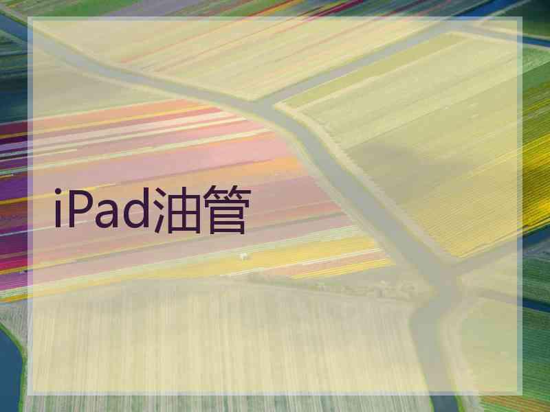 iPad油管