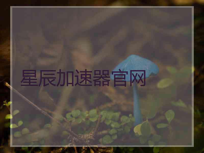 星辰加速器官网
