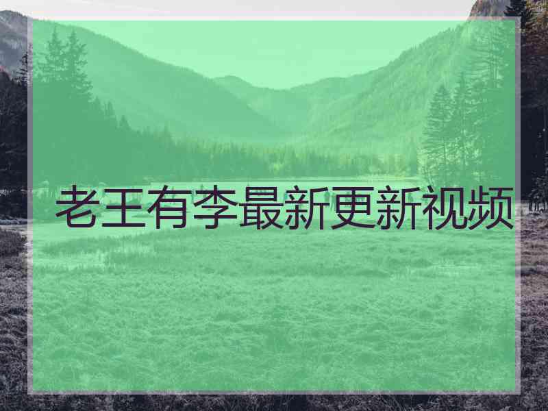 老王有李最新更新视频