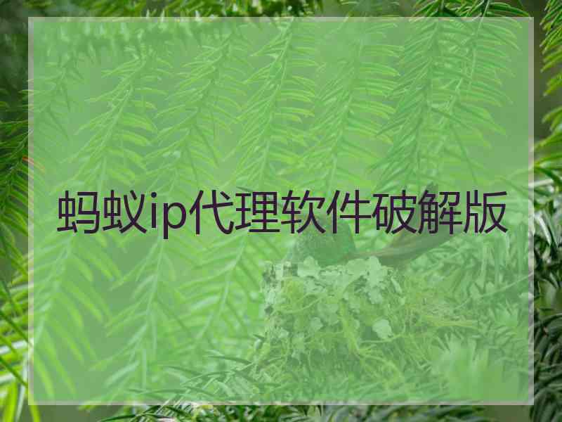 蚂蚁ip代理软件破解版
