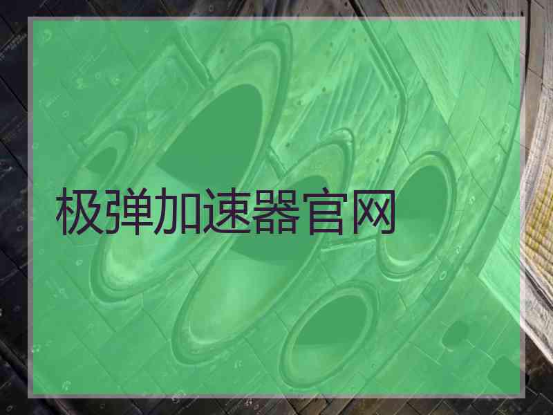 极弹加速器官网