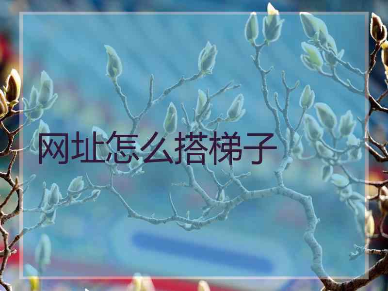 网址怎么搭梯子