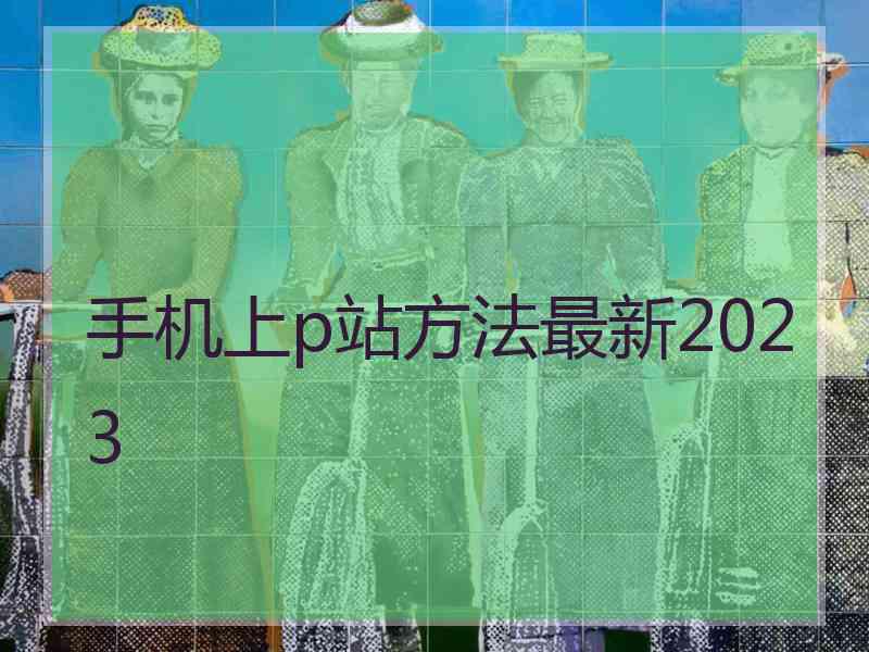 手机上p站方法最新2023