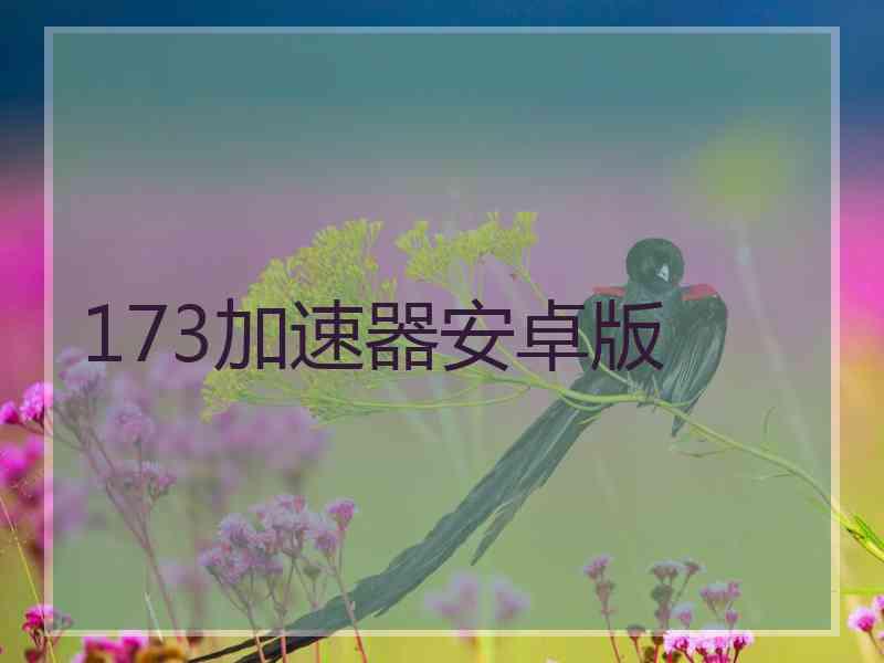 173加速器安卓版