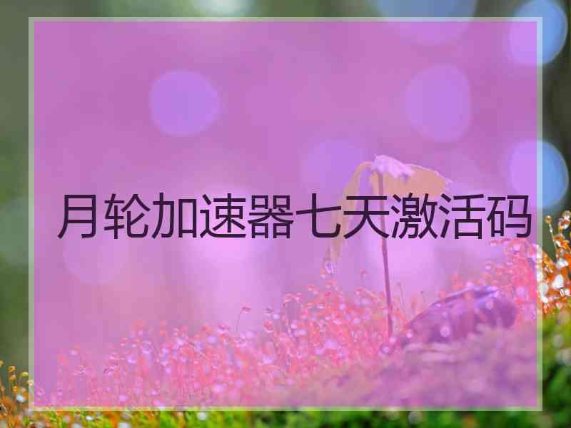月轮加速器七天激活码