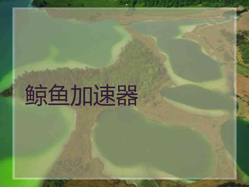 鲸鱼加速器