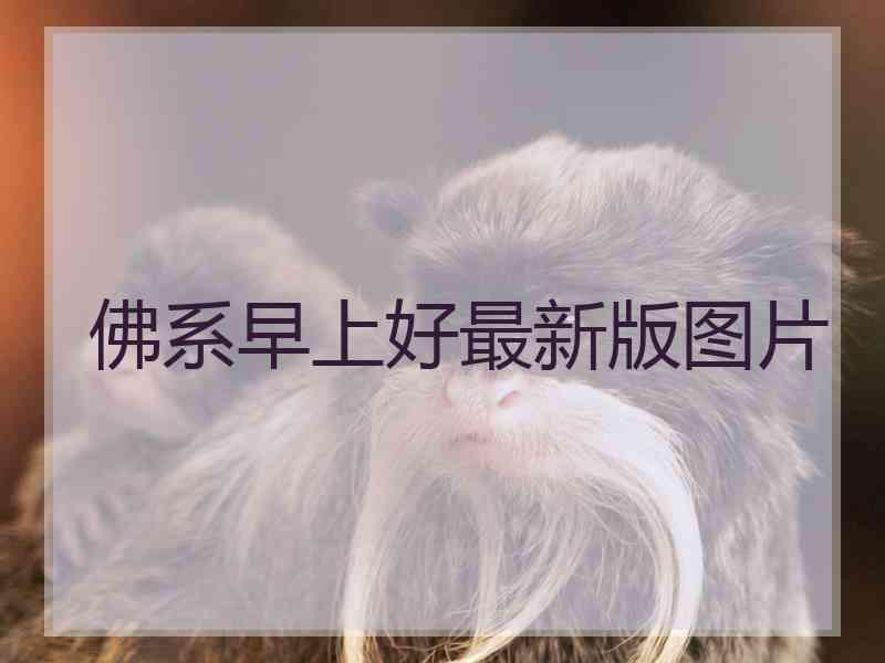 佛系早上好最新版图片