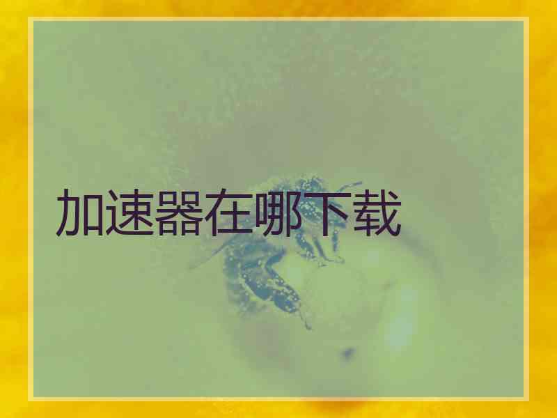 加速器在哪下载