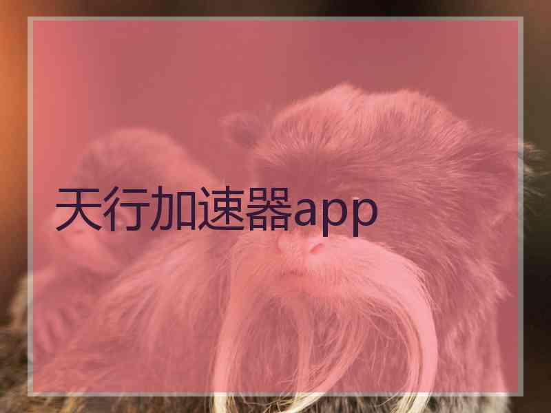 天行加速器app