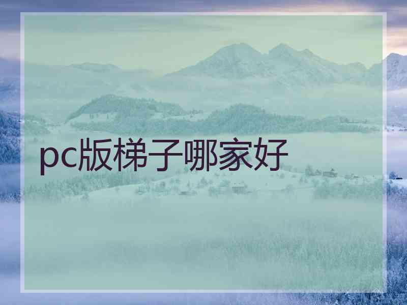 pc版梯子哪家好
