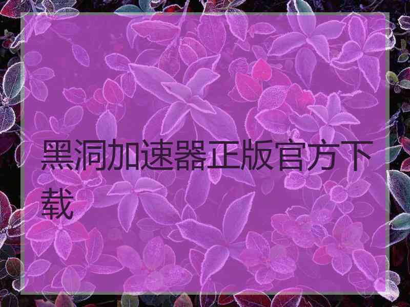 黑洞加速器正版官方下载
