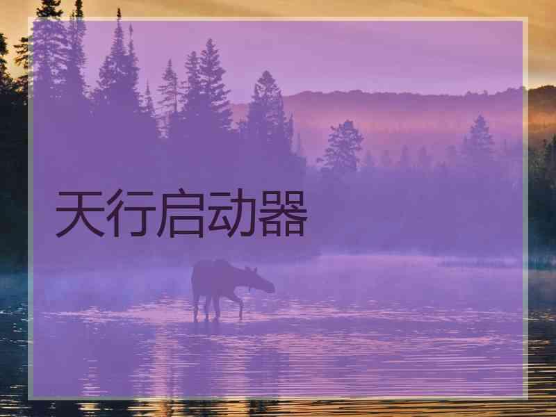 天行启动器