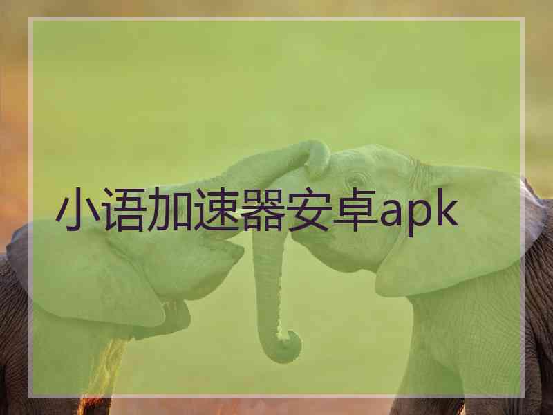 小语加速器安卓apk