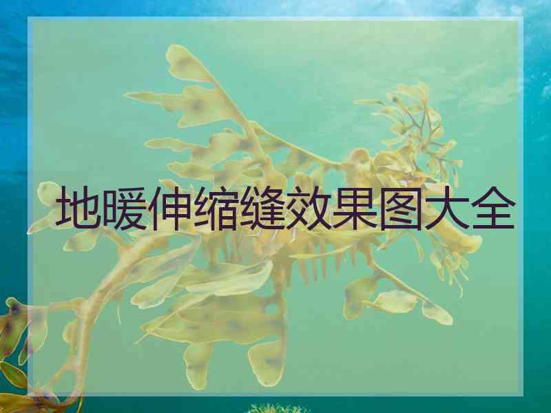 地暖伸缩缝效果图大全