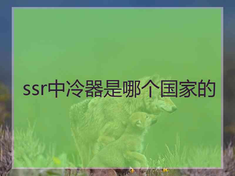 ssr中冷器是哪个国家的