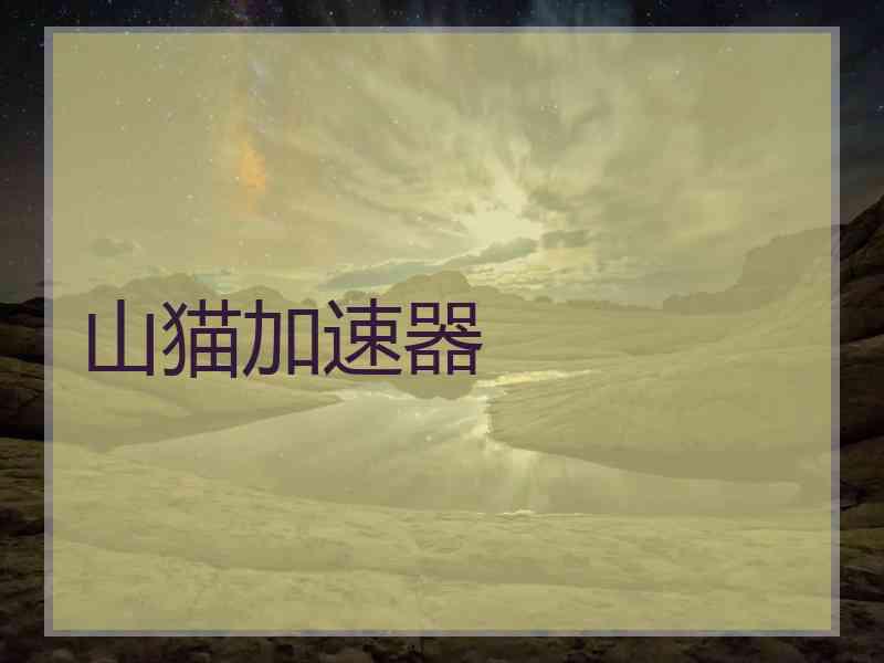 山猫加速器